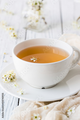 Fresh herbal tea with blooming brunch © Anastasiia