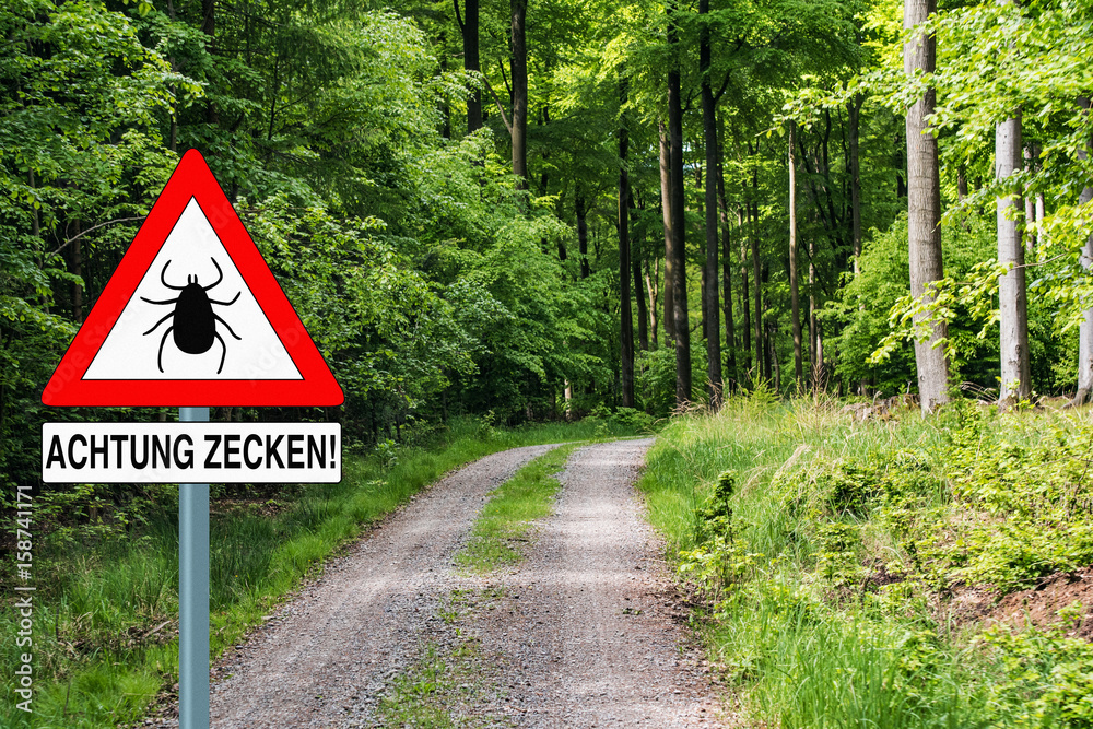Fototapeta premium Achtung Zecken!