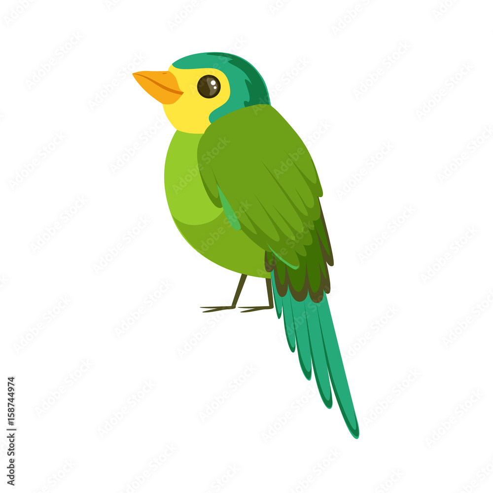 Small bird in blue and green colors colorful vector Illustration