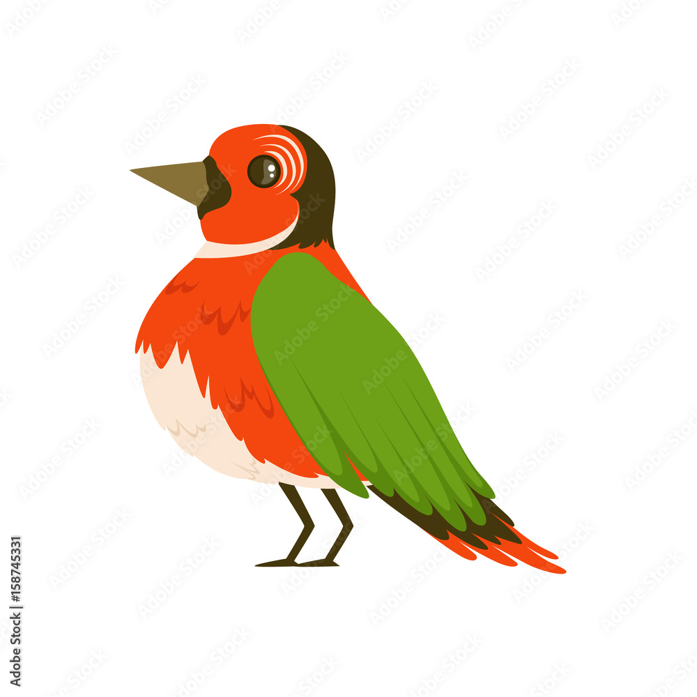 Colorful bird vector Illustration