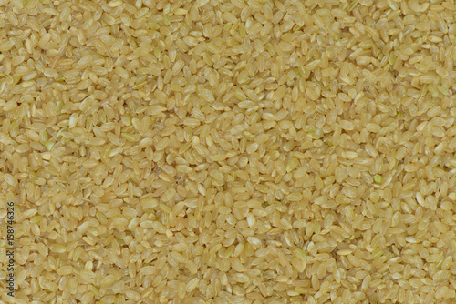 Japan brown rice background