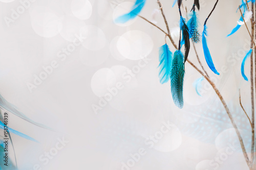 white background with blue feathers
