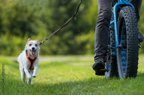 Fototapeta Naklejka Na Ścianę i Meble -  Radfahren mit Hund