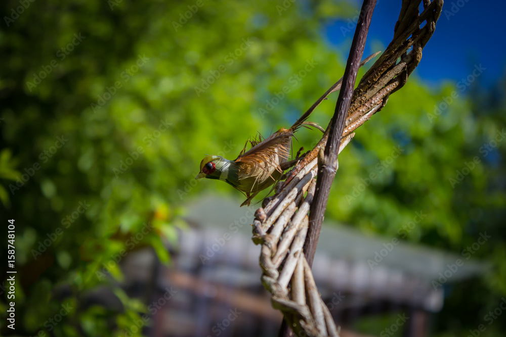 little bird on a perch, bird, nature, garden, green bushes, blue sky, feather, limb, gardening, decoration