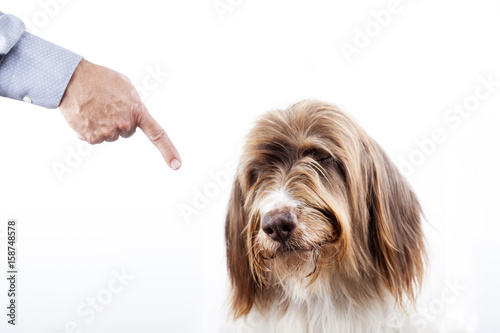 фотографія Reprimenda