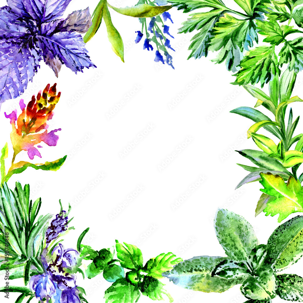 Fototapeta premium Tropical Hawaii leaves palm tree frame in a watercolor style isolated.