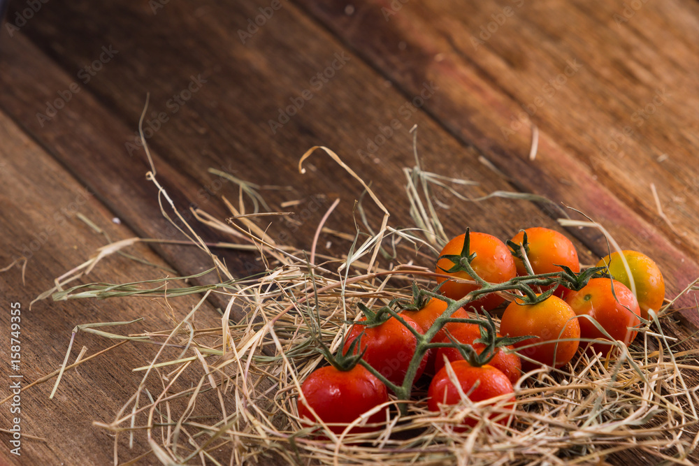 Fresh cherry tomatoes on old wooden background Fresh cherry tomatoes on old wooden background