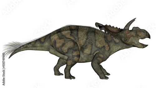 Albertaceratops dinosaur - 3D render © Elenarts