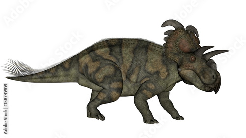 Albertaceratops dinosaur - 3D render