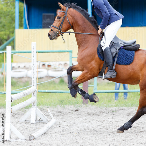 Bay horse with rider jumping over hurdle on show jumping competition