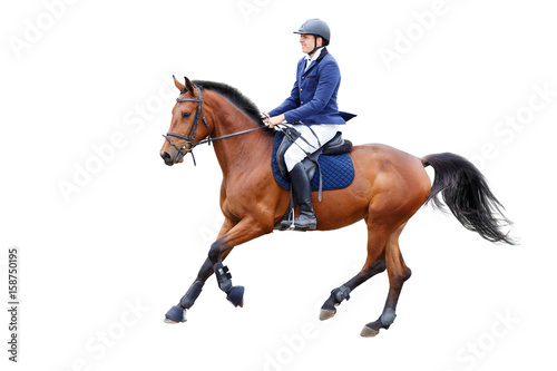 Fototapet Young rider man in helmet on bay horse isolated on white background