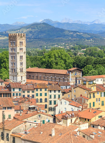View from Guinigi tower (Torre Guinigi) towards San Frediano Basilica in Lucca