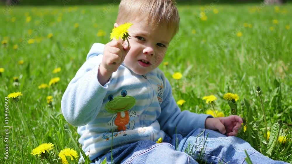the happy child sits in a field of dandelions. Game of the child in the open air the happy child sits in a field of dandelions. Game of the child in the open air