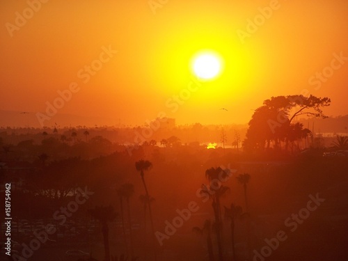 Wallpaper Mural California Palm Tree Misty Sunset Haze Sun Rays Torontodigital.ca