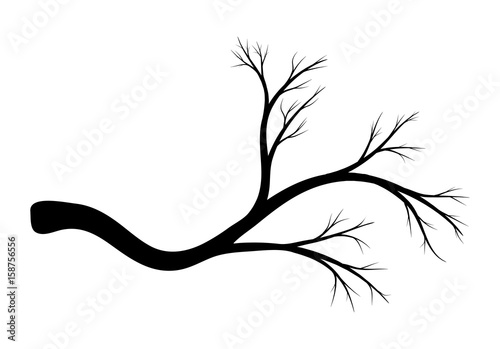  branch silhouette vector symbol icon design
