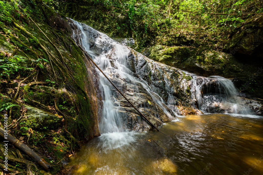 Fototapeta premium Mae Kampong waterfall and river in green forest, in Chiang Mai, Thailand