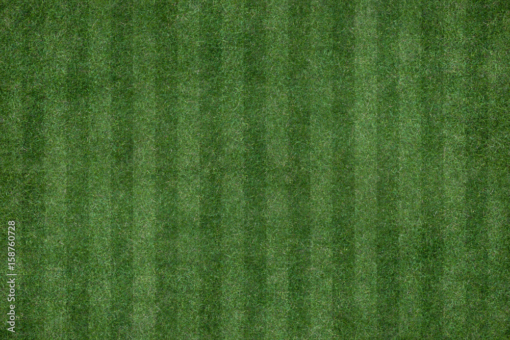 Fototapeta premium zielona trawa tekstura