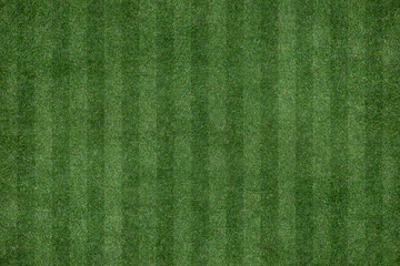green grass texture