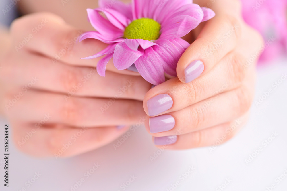Hands of a woman with pink manicure on nails and pink flowers Hands of a woman with pink manicure on nails and pink flowers