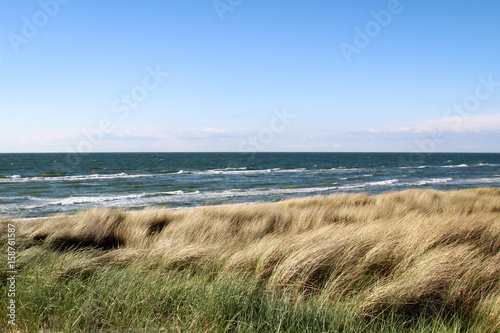 Urlaub am Meer  D  nen  Gras  K  ste  Natur