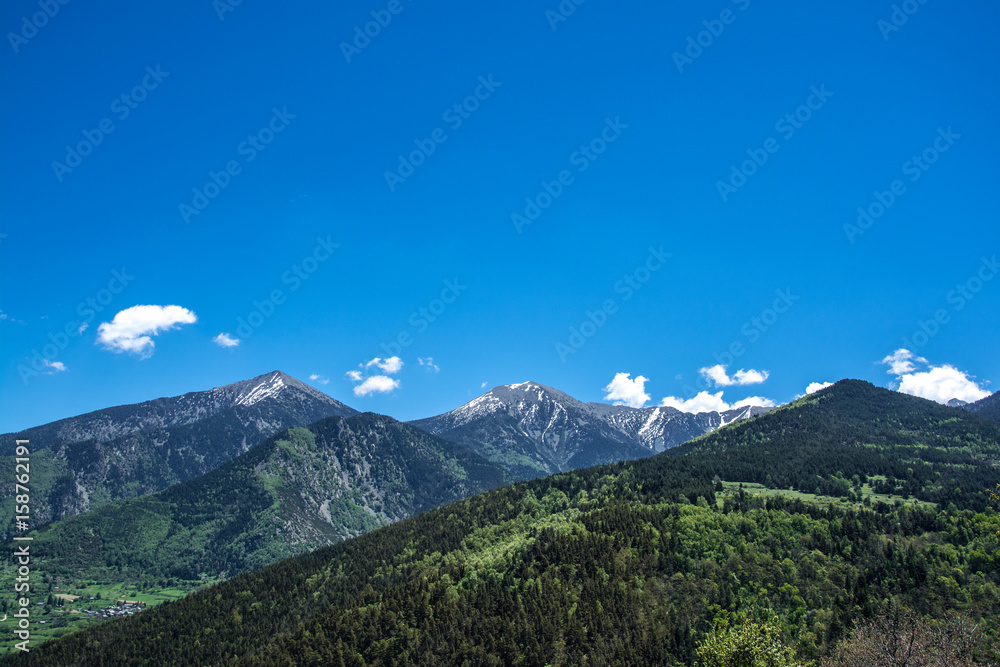 Landscape of forest and French pyrenees mountains
