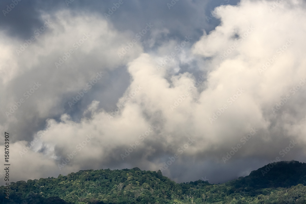 Cumulus cloud over tropical forest.