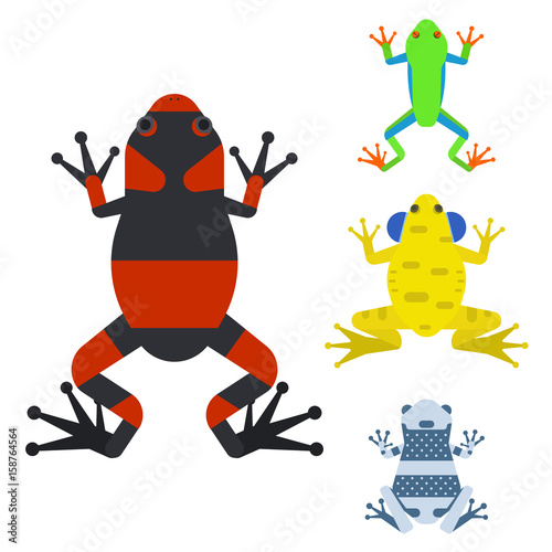 Frog cartoon tropical animal cartoon amphibian mascot character wild vector illustration.