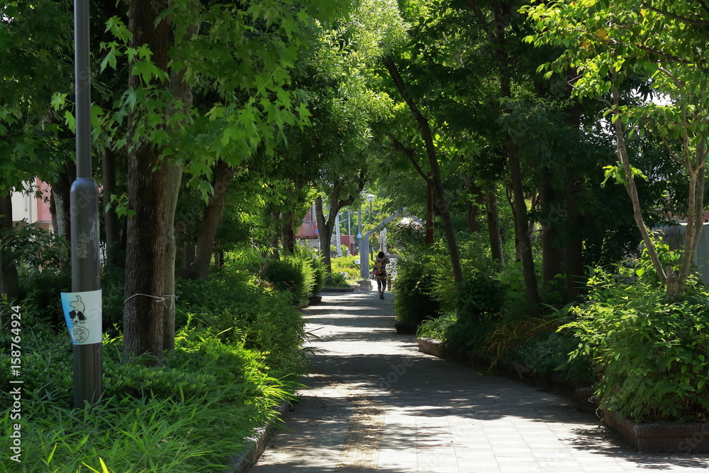 大野城市新川緑地