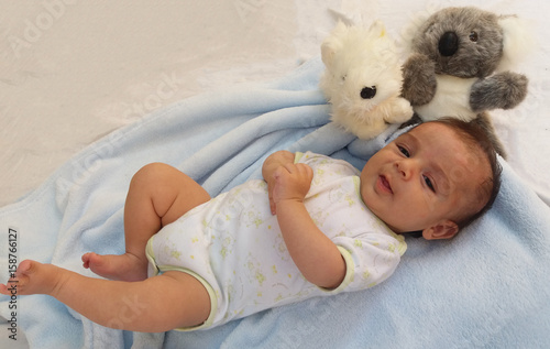 Photography two months old baby boy with koala and puppy toy