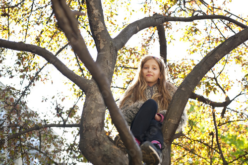 Beautiful girl sitting on a tree