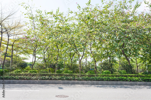 street and green trees of Zhujiang park in spring photo