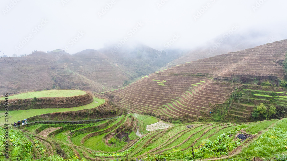 above view of terraced rice fields on hills