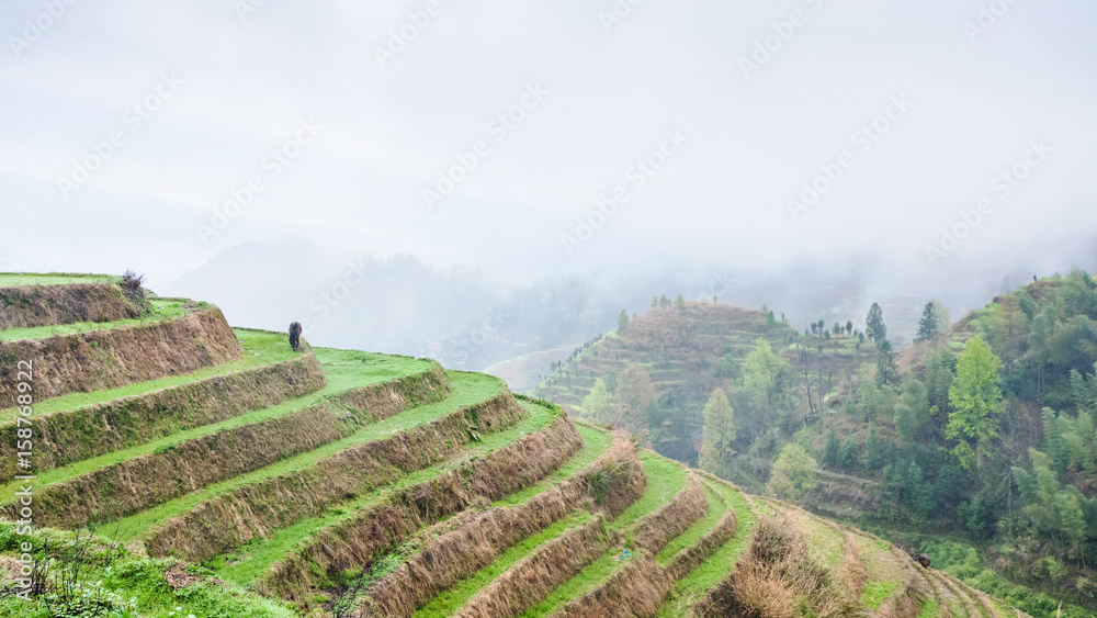 above view of terraced rice plantations on hills