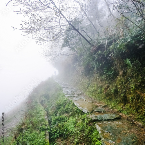 footpath on hill slope in rainy misty spring day photo