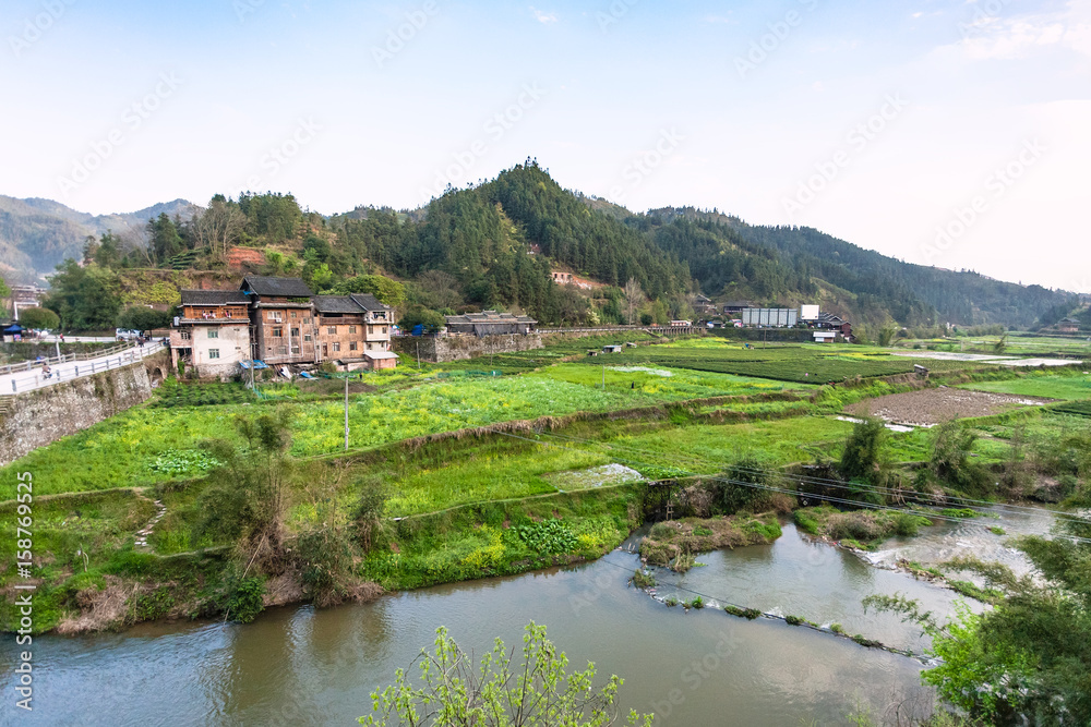 gardens, rice paddy, tea plantation in Chengyang