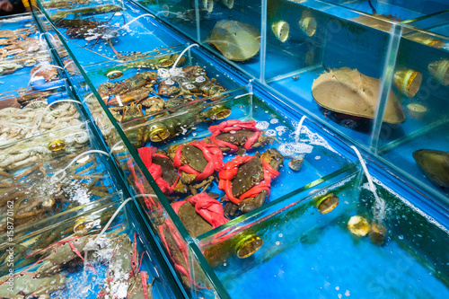 crabs and crayfishes in fish market in Guangzhou photo