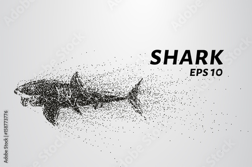 The shark from the particle. The shark consists of circles and points. Vector illustration.