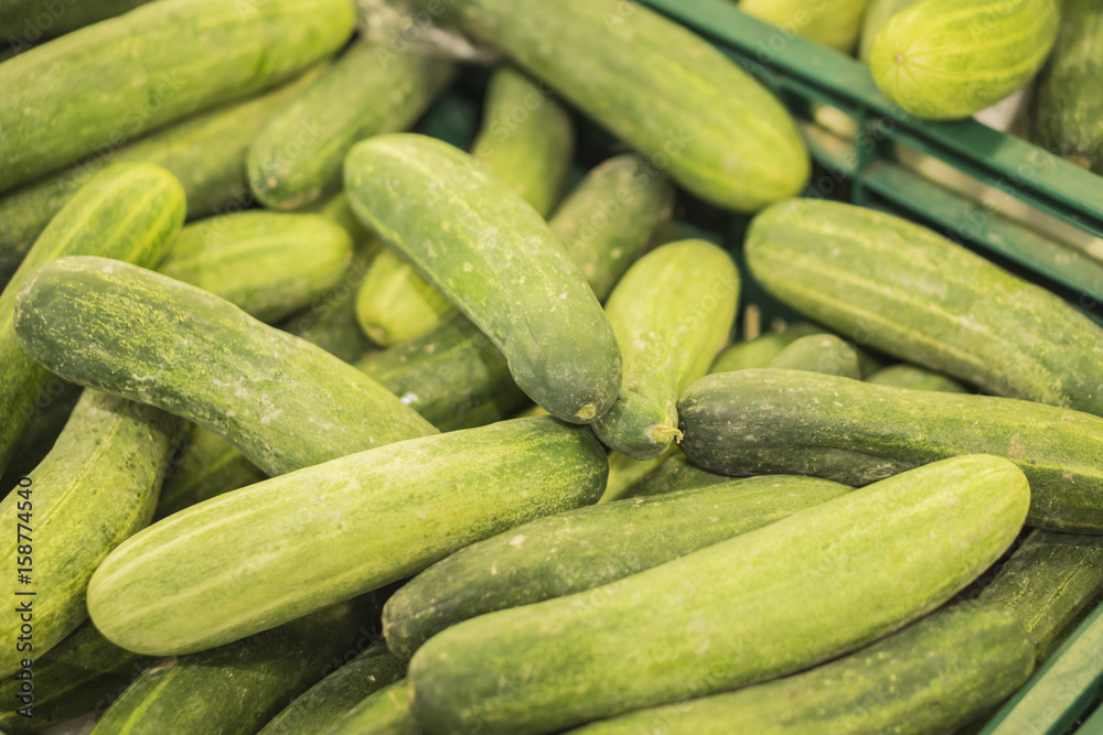 cucumber in the market,Big bunch of cucumbers at farmers market,Fresh organic cucumbers from late autumn harvest,Cucumbers bunched together For Sale At Market ,good as a background,selective focus cucumber in the market,Big bunch of cucumbers at farmers market,Fresh organic cucumbers from late autumn harvest,Cucumbers bunched together For Sale At Market ,good as a background,selective focus