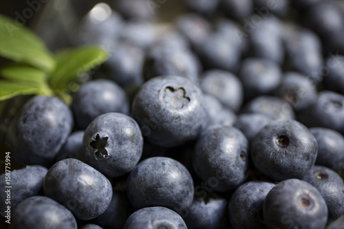 blue fresh blueberries