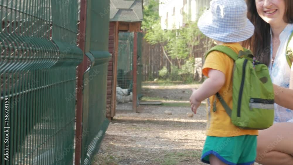 A little boy with his parents is feeding a goat with green grass in the zoo. The kid really likes this animal