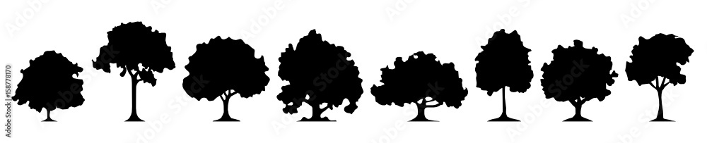 Silhouette Laubwald
