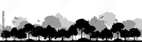Silhouette Laubwald
