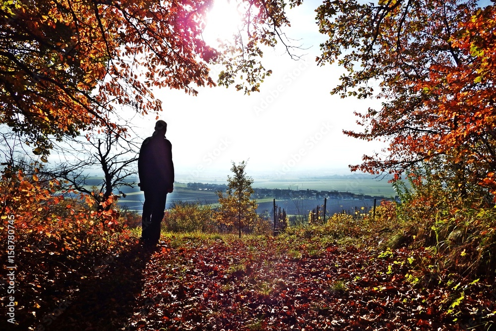 Herbstausblick Herbstausblick