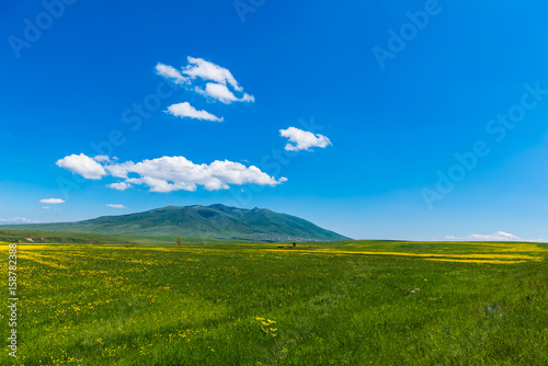 Fotografi Amazing landscape with mountains and yellow field flowers, Armenia