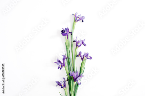 Beautiful purple iris flowers bouquet on white background. Flat lay, top view
