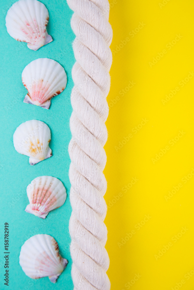 Fototapeta premium Sea rope and scallop shells on colored backgrounds with negative space