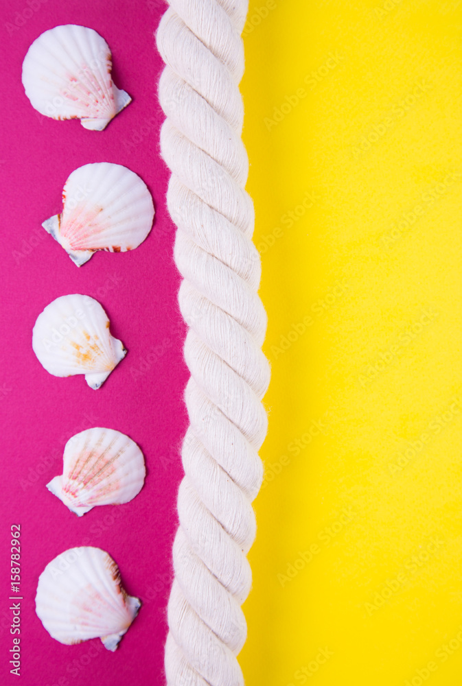 Fototapeta premium Sea rope and scallop shells on colored backgrounds with negative space
