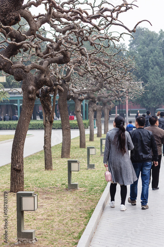 people on alley in public park in Beijing photo