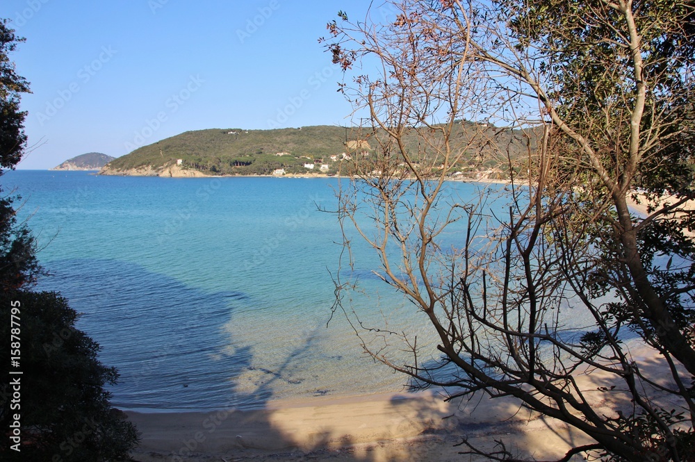 Procchio beach in march and Enfola headland in the background, Elba island, Tuscany, Italy Procchio beach in march and Enfola headland in the background, Elba island, Tuscany, Italy