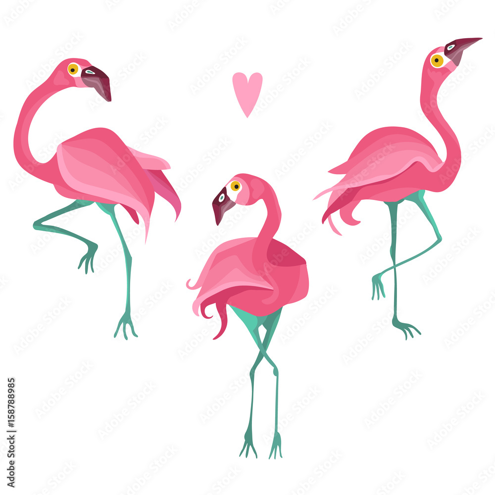 Obraz premium Colorful flat vector flamingo set